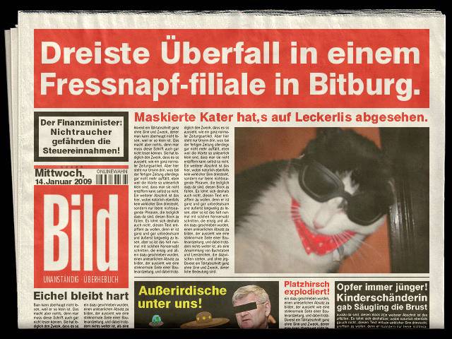 Geplaatste afbeelding