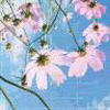 http://s10b.directupload.net/images/user/090401/byz8ep7e.jpg