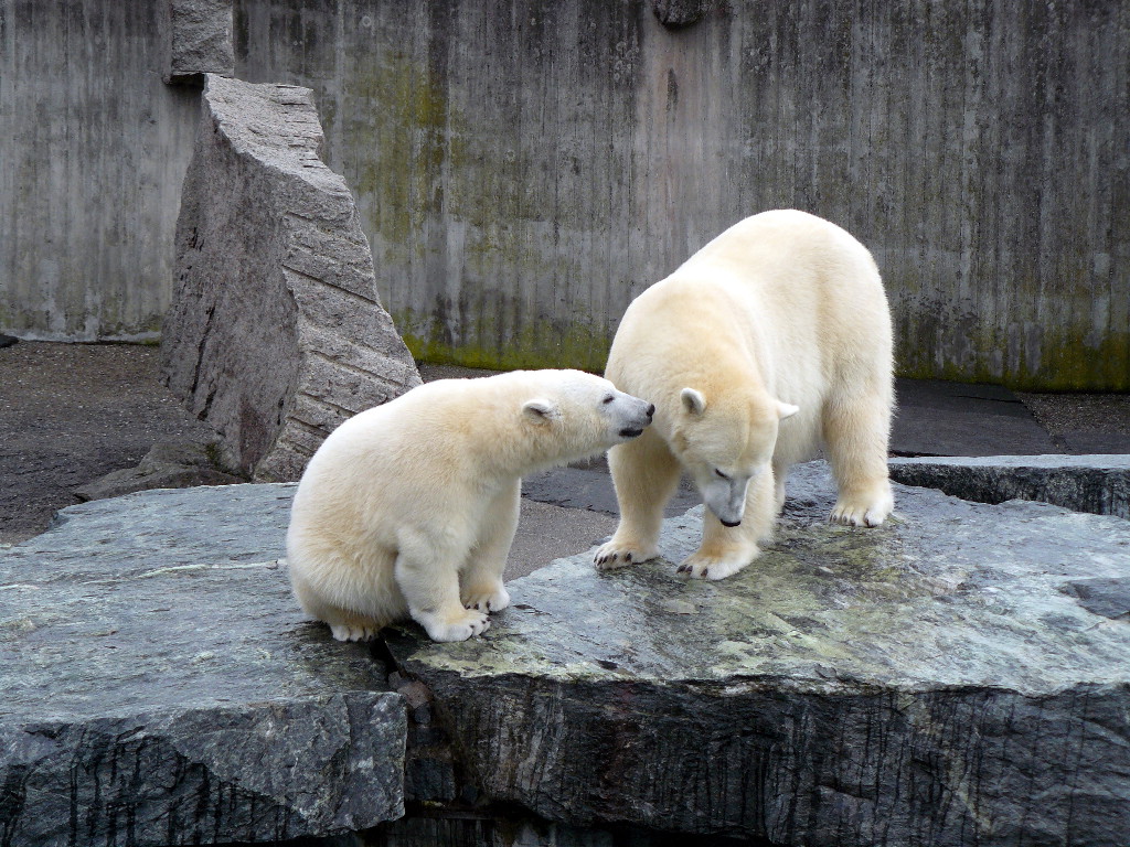Wilbär und Corinna